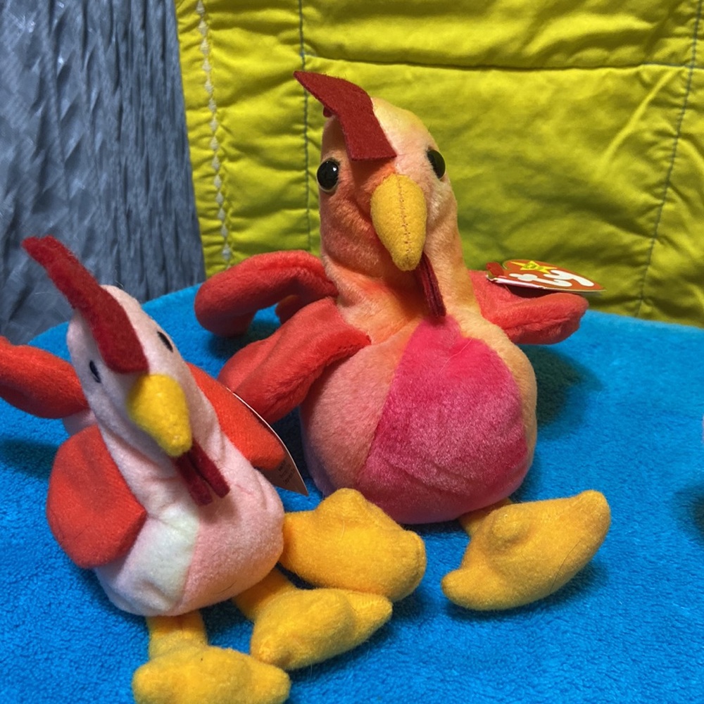 A bird and their buddy! - Picture 2 of 6